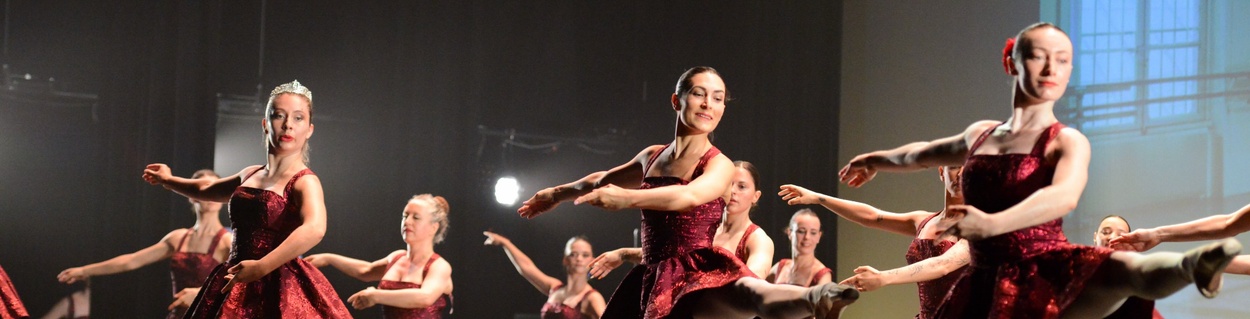DSC_9715_1250x319_v2.jpg